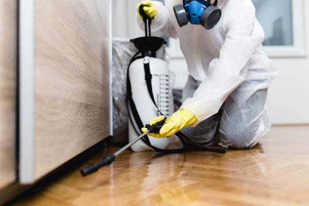 Wildlife Control Services in West Bay Shore, NY