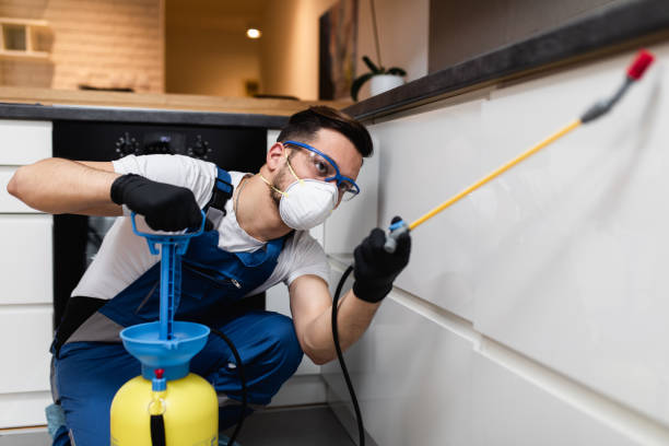 Best Best Pest Control Companies  in West Bay Shore, NY