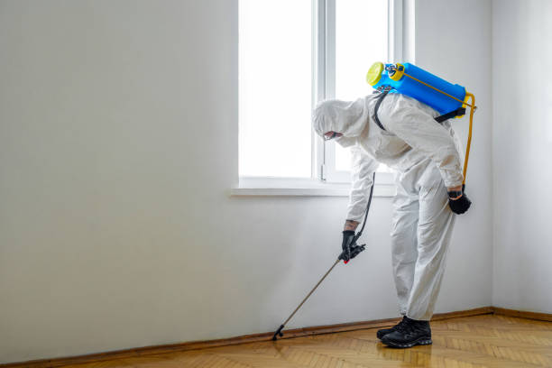 Best Pest Control Near Me in West Bay Shore, NY