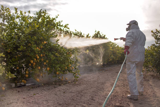 Pest Control Cost in West Bay Shore, NY